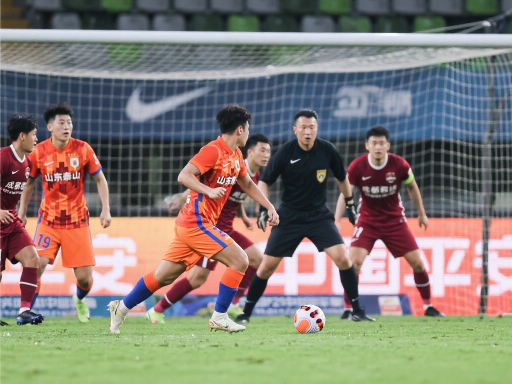 从而增强了 从而增强了